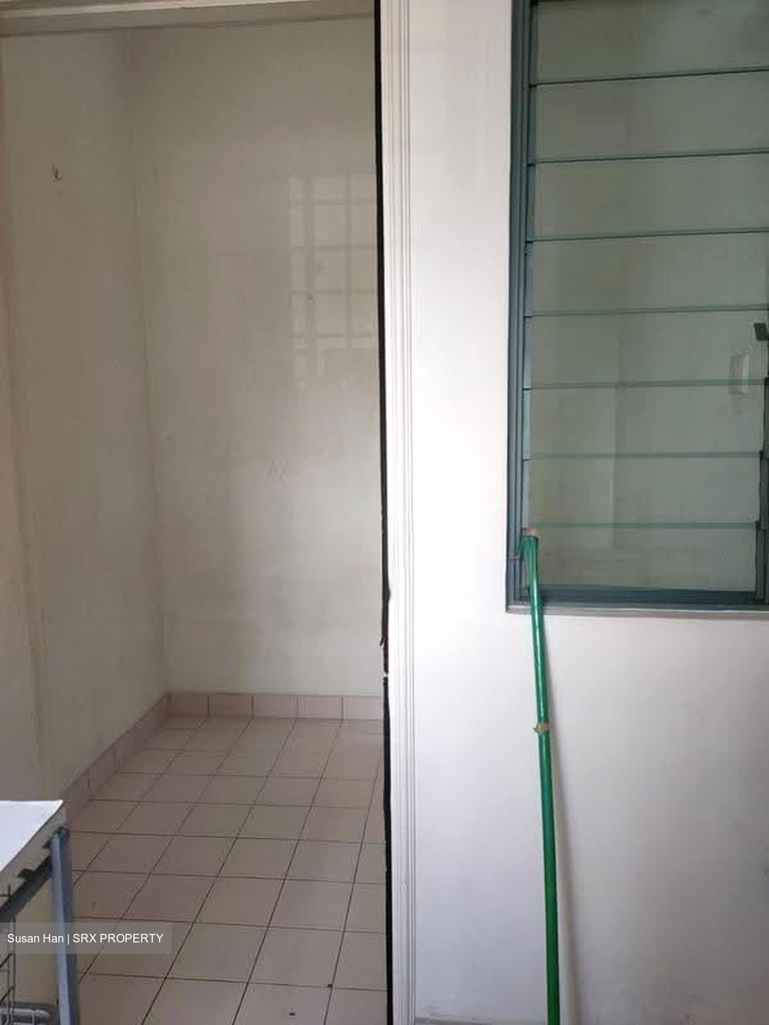 Serenity Park (D28), Condominium #624964841